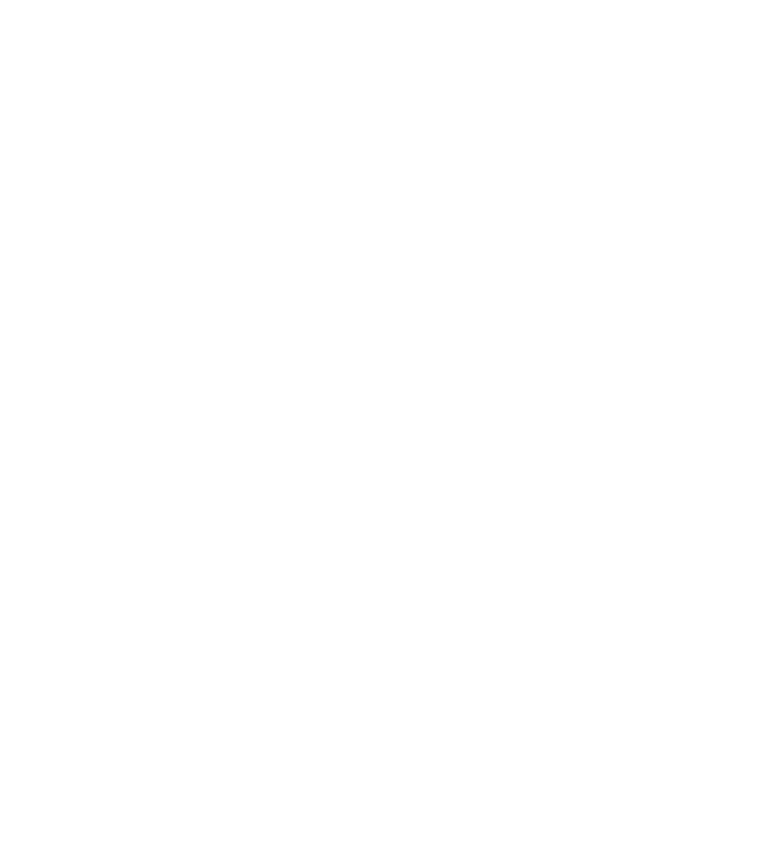 Visionary Lighting